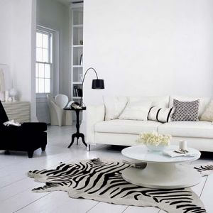 Photos of floors - white-living-room with zebra floor.jpg